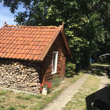Landelijk Gelegen Huisje Op Erf Veeningen エクステリア 写真