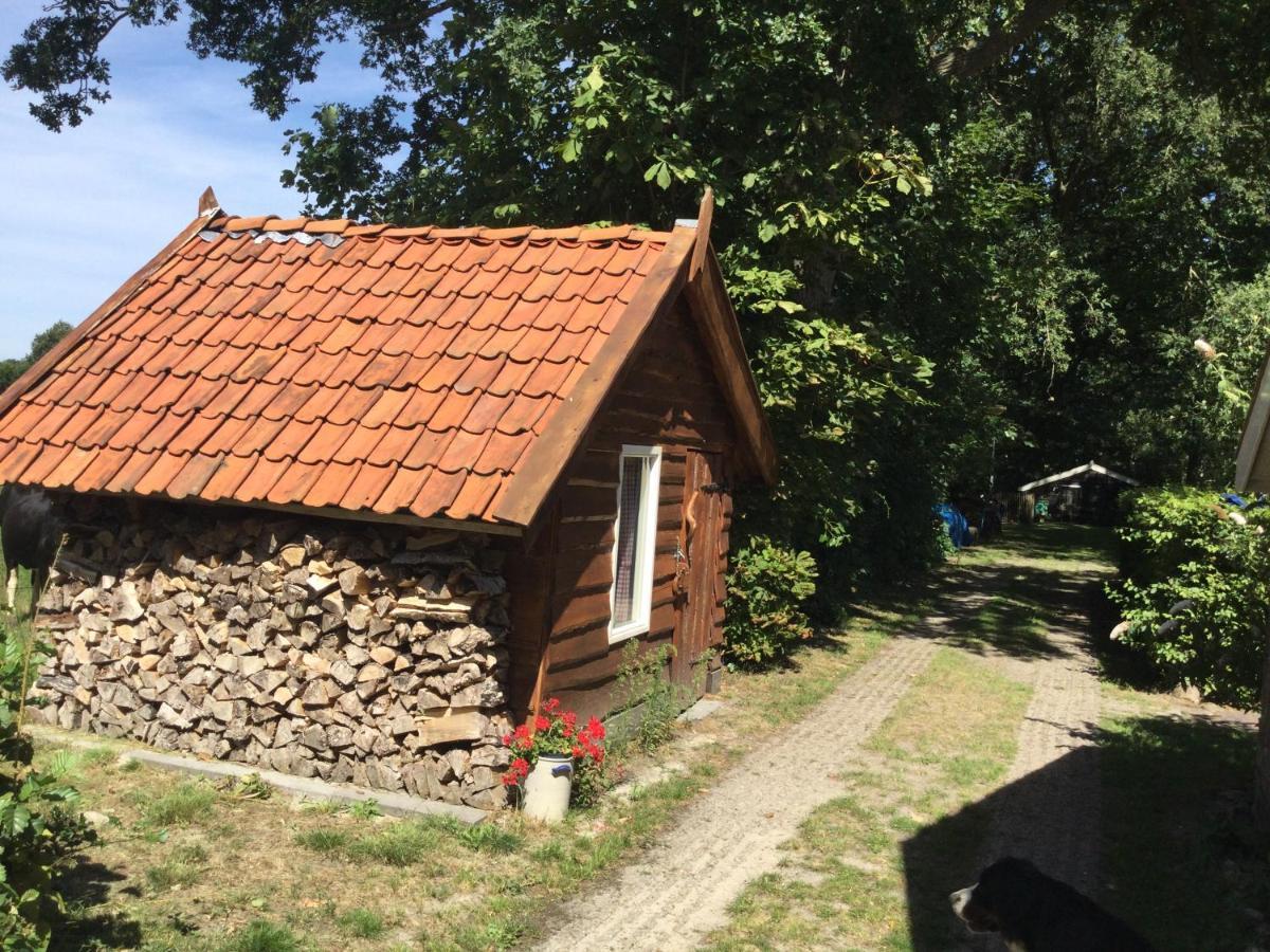 Landelijk Gelegen Huisje Op Erf Veeningen エクステリア 写真