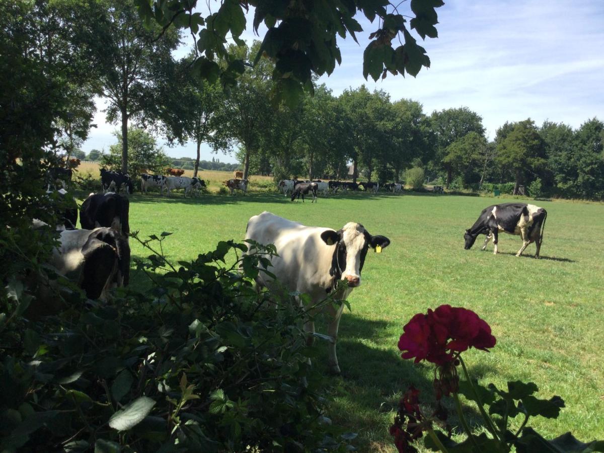 Landelijk Gelegen Huisje Op Erf Veeningen エクステリア 写真