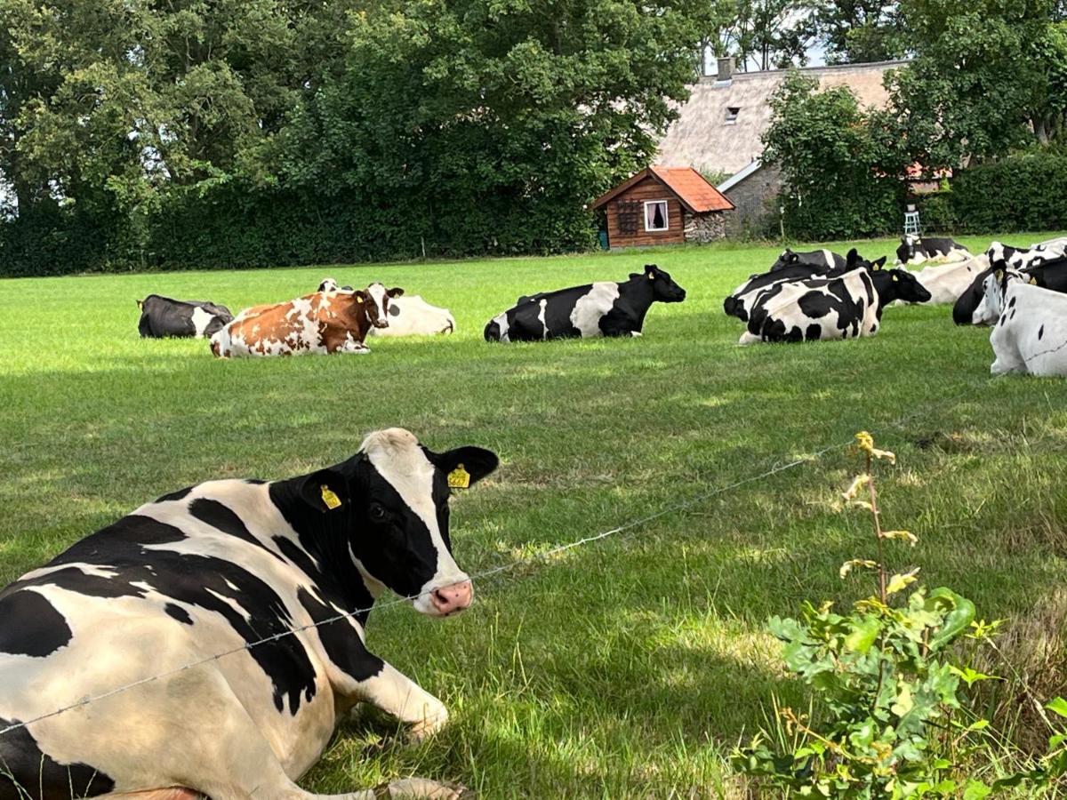 Landelijk Gelegen Huisje Op Erf Veeningen エクステリア 写真