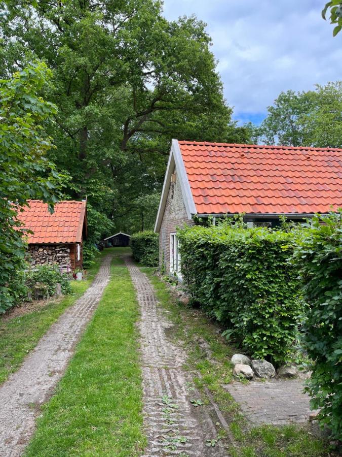 Landelijk Gelegen Huisje Op Erf Veeningen エクステリア 写真