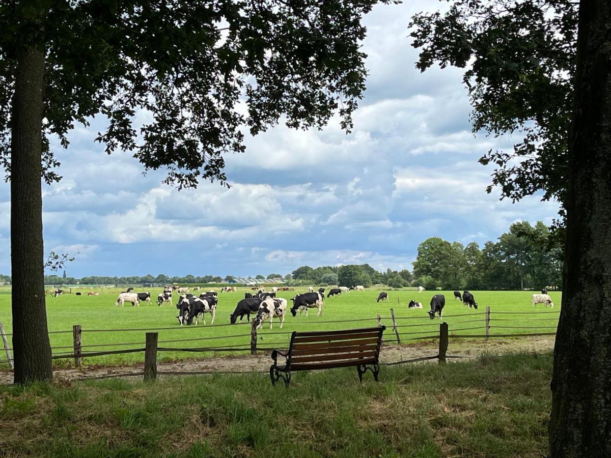 Landelijk Gelegen Huisje Op Erf Veeningen エクステリア 写真